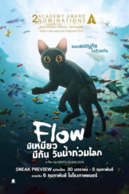 มีเหมียว มีกัน วันน้ำท่วมโลก